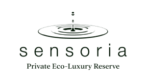 sensoria-click (1)